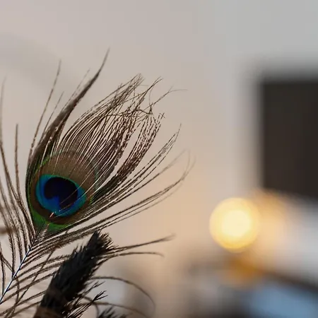 Lejlighed Prestige Xl Full-home Near Center And Park *