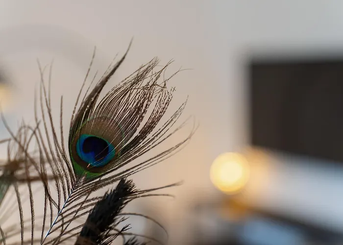 Apartamento Prestige Xl Full-home Near Center And Park *